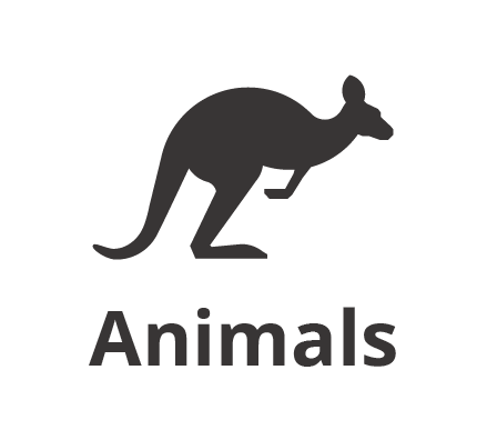steve irwin australia zoo tour